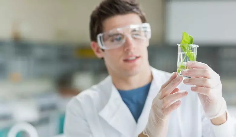 Высшее образование в Германии с Allterra Education