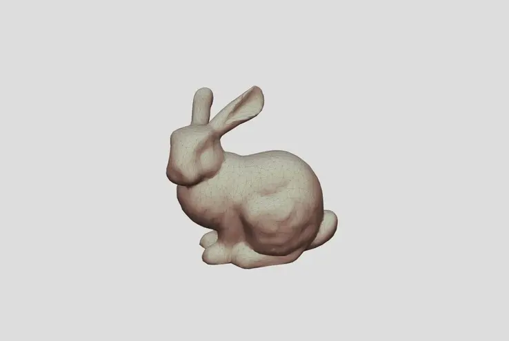 stanford rabbit.jpg